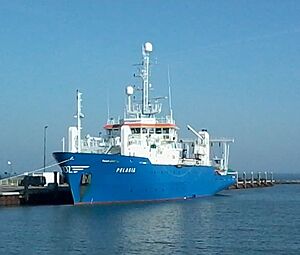 Archivo:Pelagia op Texel
