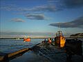 Pesca en caleta cordoba