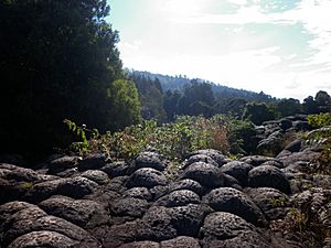 Archivo:Rocas - Parque Arqueológico Piedras del Tunjo