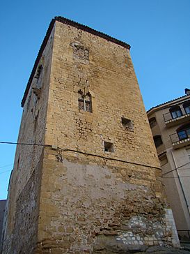 TORRE DELS ALBANO (VALLDELLOU).jpg