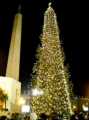 Archivo:Vatican Christmas Tree