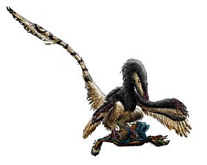 Archivo:Velociraptor restraining an oviraptorosaur by durbed