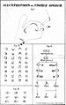 VisibleSpeech-illustrations