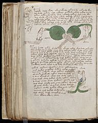 Voynich Manuscript (152)