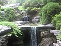 Waterfall at Brooklyn Botanic Garden IMG 0658