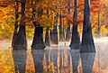 White River National refuge