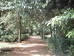 Archivo:Ali Imran-Walking Trail in Lawrence Gardens (Bagh-e-Jinnah) June 4 2004