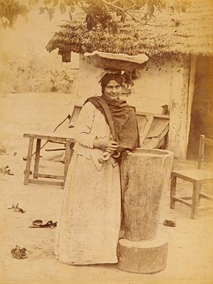 Archivo:Archivo General de la Nación Argentina 1890 aprox Tucumán, Vendedora de empanadas
