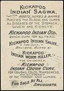 Attacking the grizzly bear - Kickapoo Indian Remedies (back)
