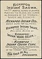 Attacking the grizzly bear - Kickapoo Indian Remedies (back)