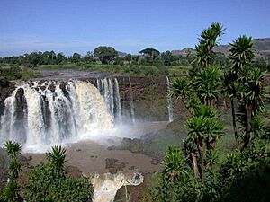 Archivo:Blue Nile Falls (153755334)