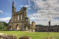 BylandAbbey-7Je11-24105