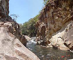 Cañón del Río Aranjuez - panoramio - Hiram Montiel Calder… (1).jpg