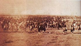 Archivo:Campaña del Desierto 1879