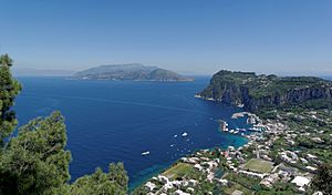 Archivo:Capri harbour from Anacapri 2013