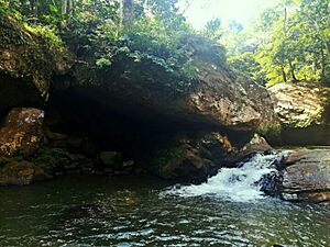 Archivo:Cascadas de la Union