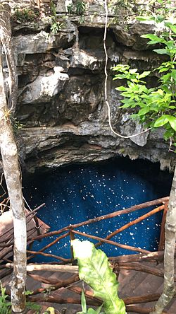 Archivo:Cenote en Yucatán México