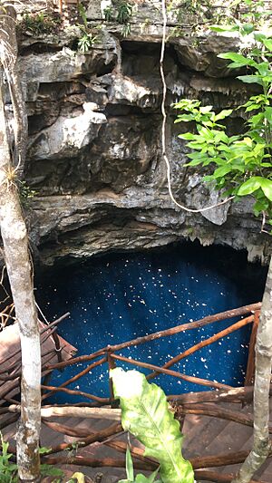 Archivo:Cenote en Yucatán México