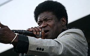 Archivo:Charles Bradley - The Menahan Street Band (Jazz Fest Wien 2011) 27
