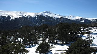 Cuerda Larga.jpg