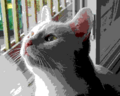 Dithering example undithered web palette