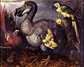 Edwards' Dodo