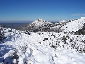 Archivo:El Pichacho nevado en Alcala de los Gazules