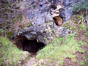 Archivo:Entrada a la cueva del Reguerillo, enero de 2006 01