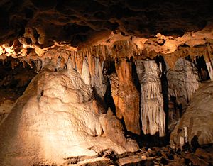 Archivo:FLCaverns-Jan2007