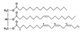 Fat triglyceride shorthand formula