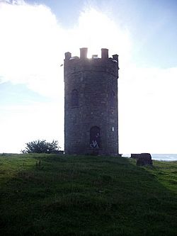 Archivo:Folly tower near Pontypool - geograph.org.uk - 221853