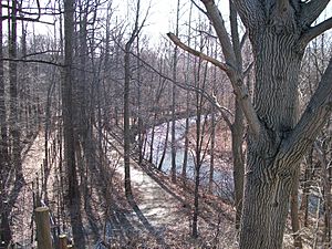 Archivo:Frelinghuysen Arboretum Morristown Stream