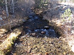 Galena Creek, near Reno, Nevada.jpg
