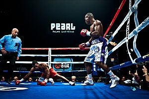 Archivo:Guillermo Rigondeaux vs. Rico Ramos - 20JAN2012 Las Vegas - Palms Casino