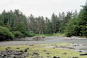 Archivo:Haida villagesite