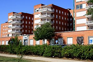 Archivo:Hospital clinico san carlos de madrid