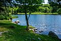 Kingsbury Pond (49218628246)