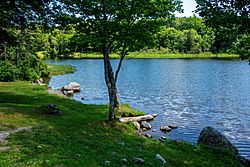 Kingsbury Pond (49218628246).jpg