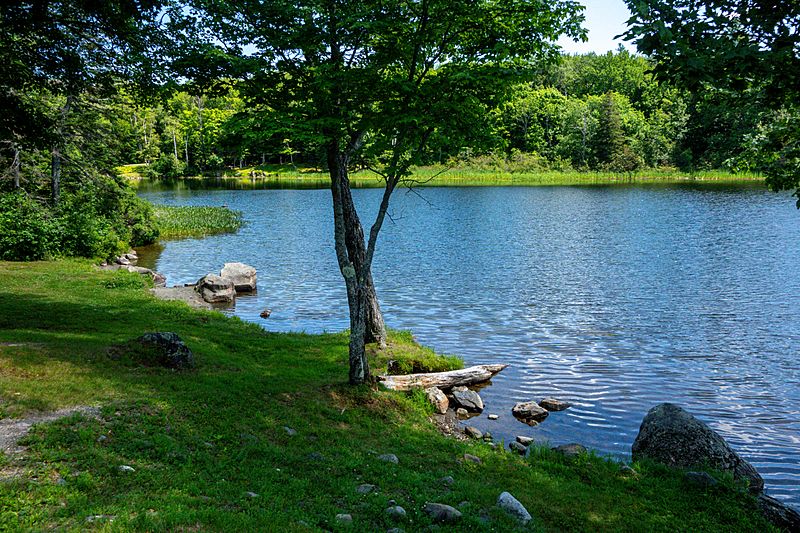 Kingsbury Pond (49218628246)