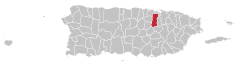 Locator-map-Puerto-Rico-Bayamón.svg