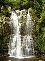 Minnamurra Falls 2012