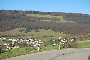 Archivo:Montsevelier 303