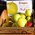 Mutsu apple