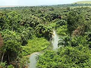 Archivo:Ngouende's river 3