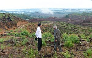 Archivo:Nusantara, Indonesia - President visiting the new capital