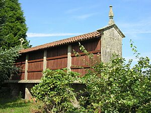 Archivo:Oroso hórreo