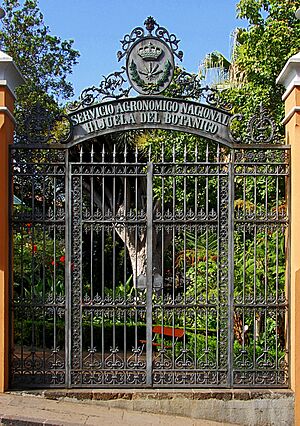 Archivo:Orotava Hijuela 01