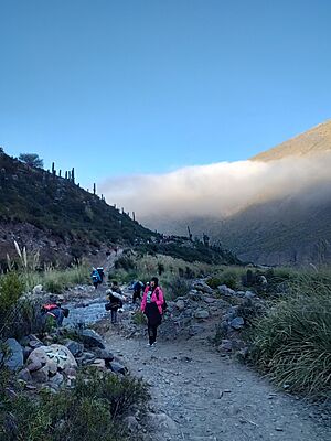 Archivo:Peregrinación a Punta Corral, desde Tumbaya, 2025 (35197)