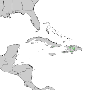 Archivo:Pinus occidentalis range map 1
