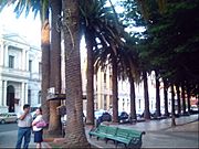 Archivo:Plaza curico
